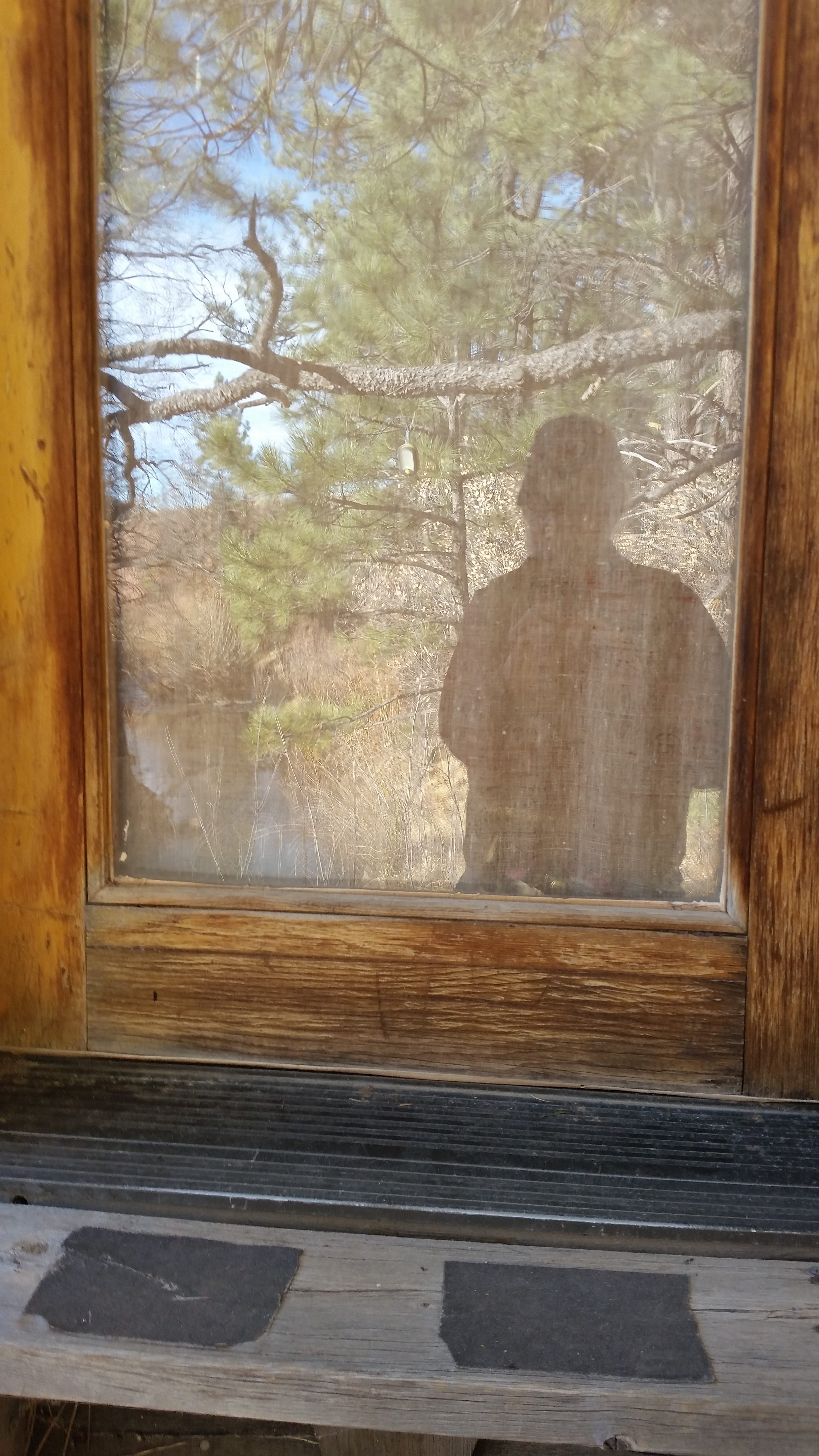 Hello, door…